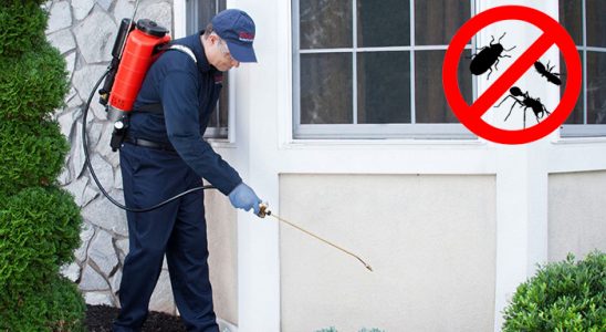 Çeşme Kemirgen İlaçlama böcek ilaçlama ve haşere kontrolü — ilaclama-tr.com